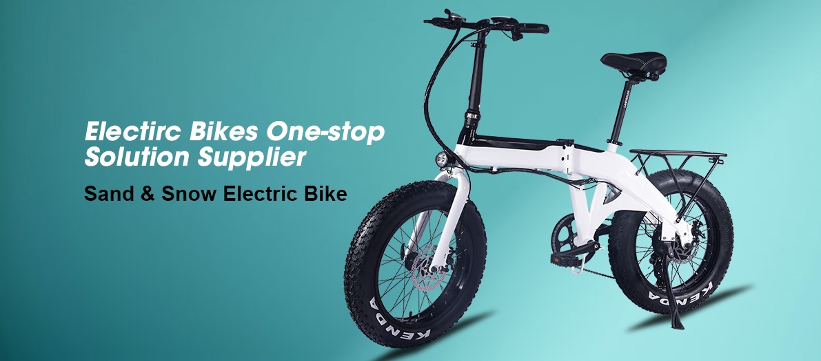 Wholesale electric bikes 48v 750W lithium battery big wheel e bike 
