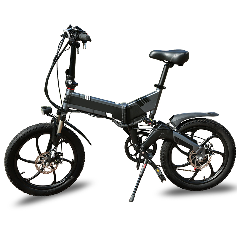 Factory OEM 20 inch aluminum alloy city electric bike 250W  350W