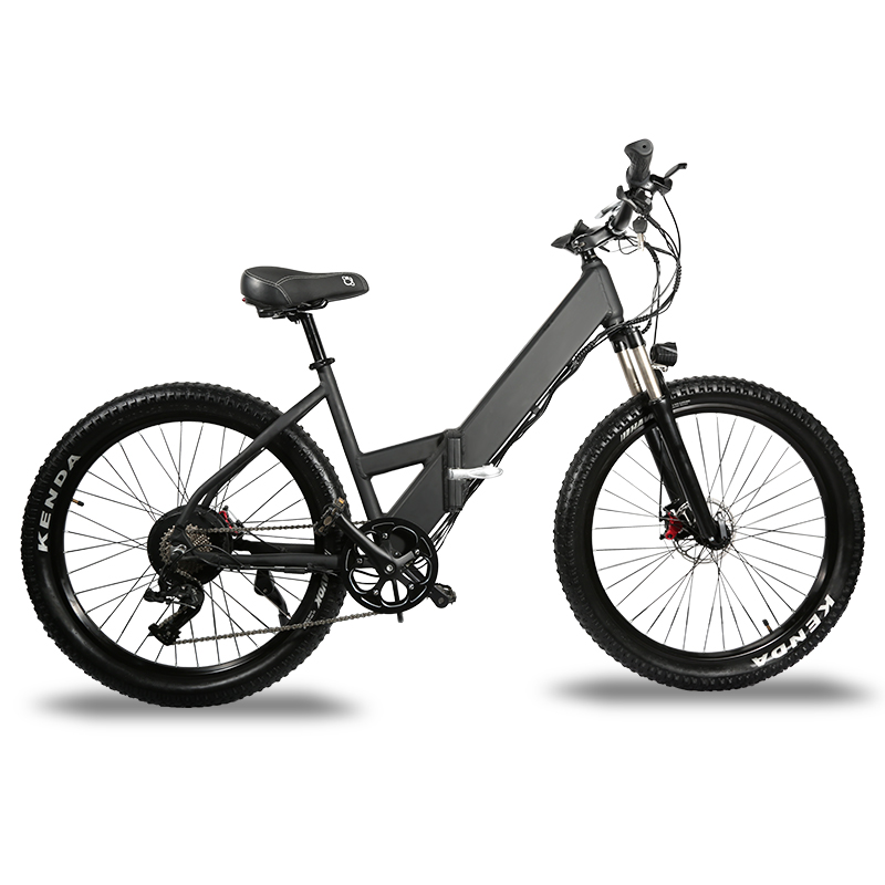 48v 1000w electric bike 27.5inch Kenda tire ebike 500w 750w for factory wholesale