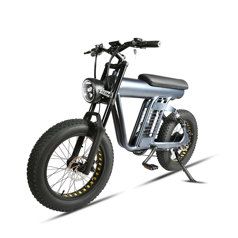 20inch fat tire electric bike odm 48v 1000w ebike for factory 