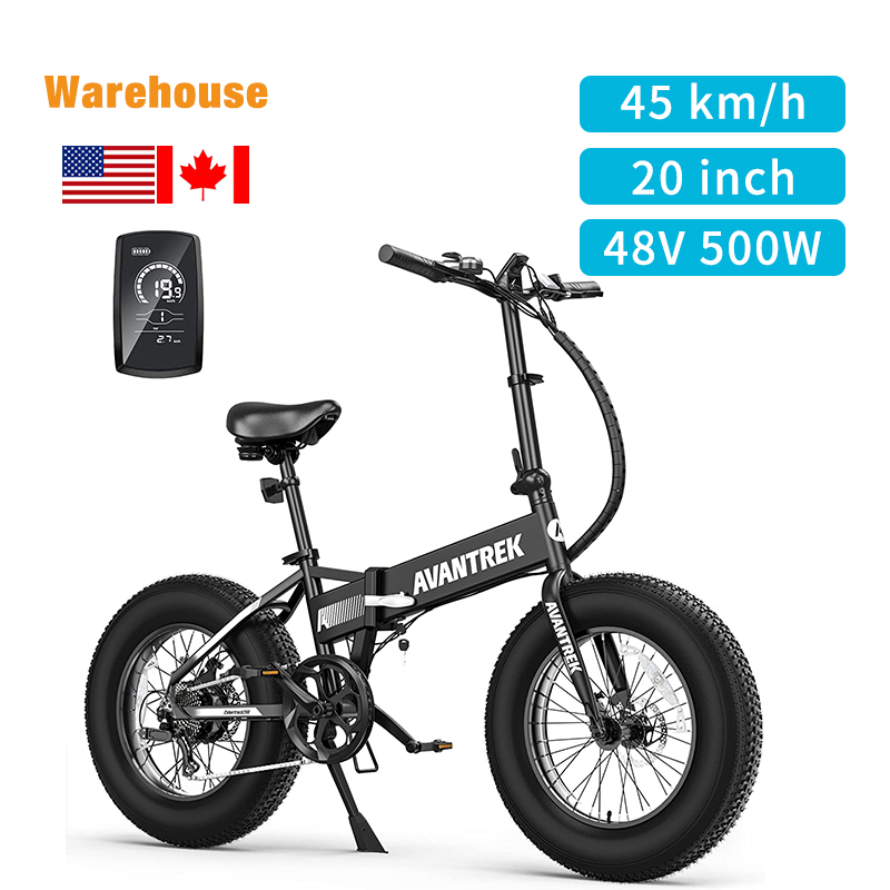 20 inch fat tire moctorcycle 48V mountain electric dirt bikes for adults