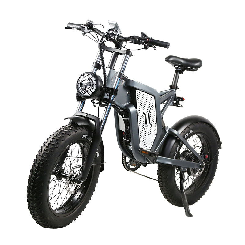 500W Ebike Fat Tire Auminum Alloy T6061 Motorcycle Electric Bike for Adult