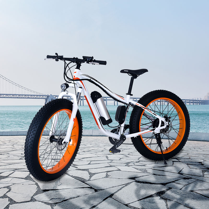 36v electric bicycle 26inch 21 speed electric bike factory odm/oem ebike