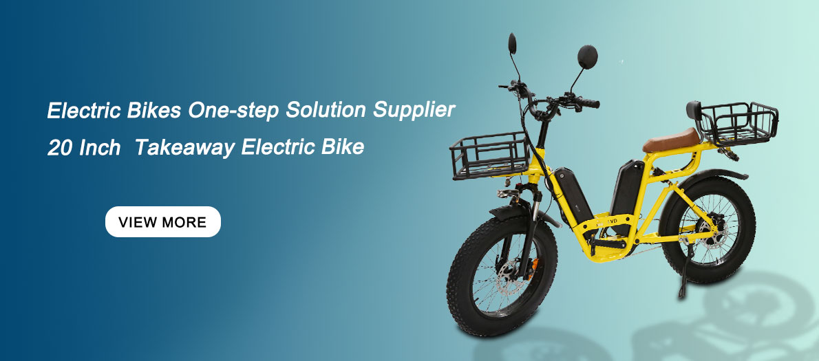 Wholesale electric bikes 48v 750W lithium battery big wheel e bike