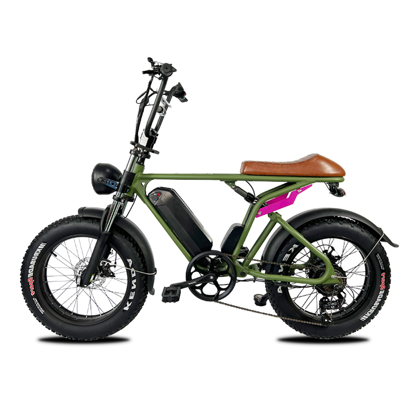 Kenda 20*4.0 Full Suspension Fat Ebike ZOOM Disc Brake 48V 750W Motorcycle Electric Bike