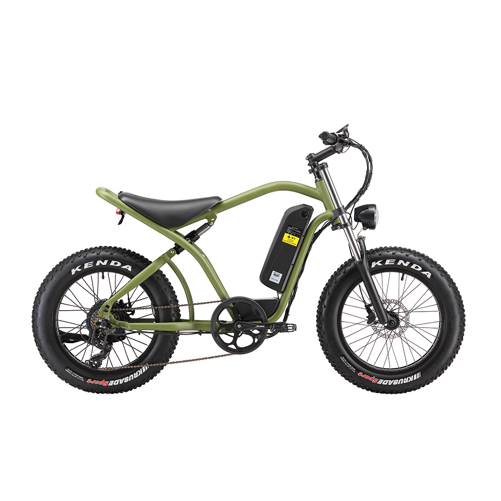Aluminum Alloy 750 Watt Fat Tyre Ebike 20*4.0 Off Road Electric Dirt Bike