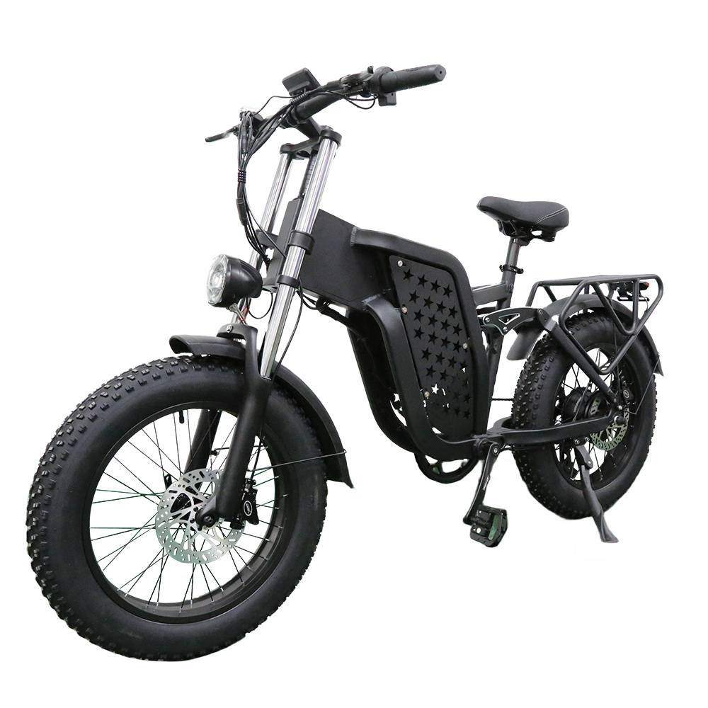 500W Ebike Fat Tire Auminum Alloy T6061 Motorcycle Electric Bike for Adult